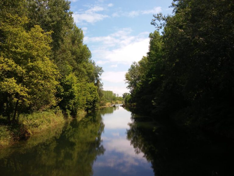 Nature reserve in the west of Vienna